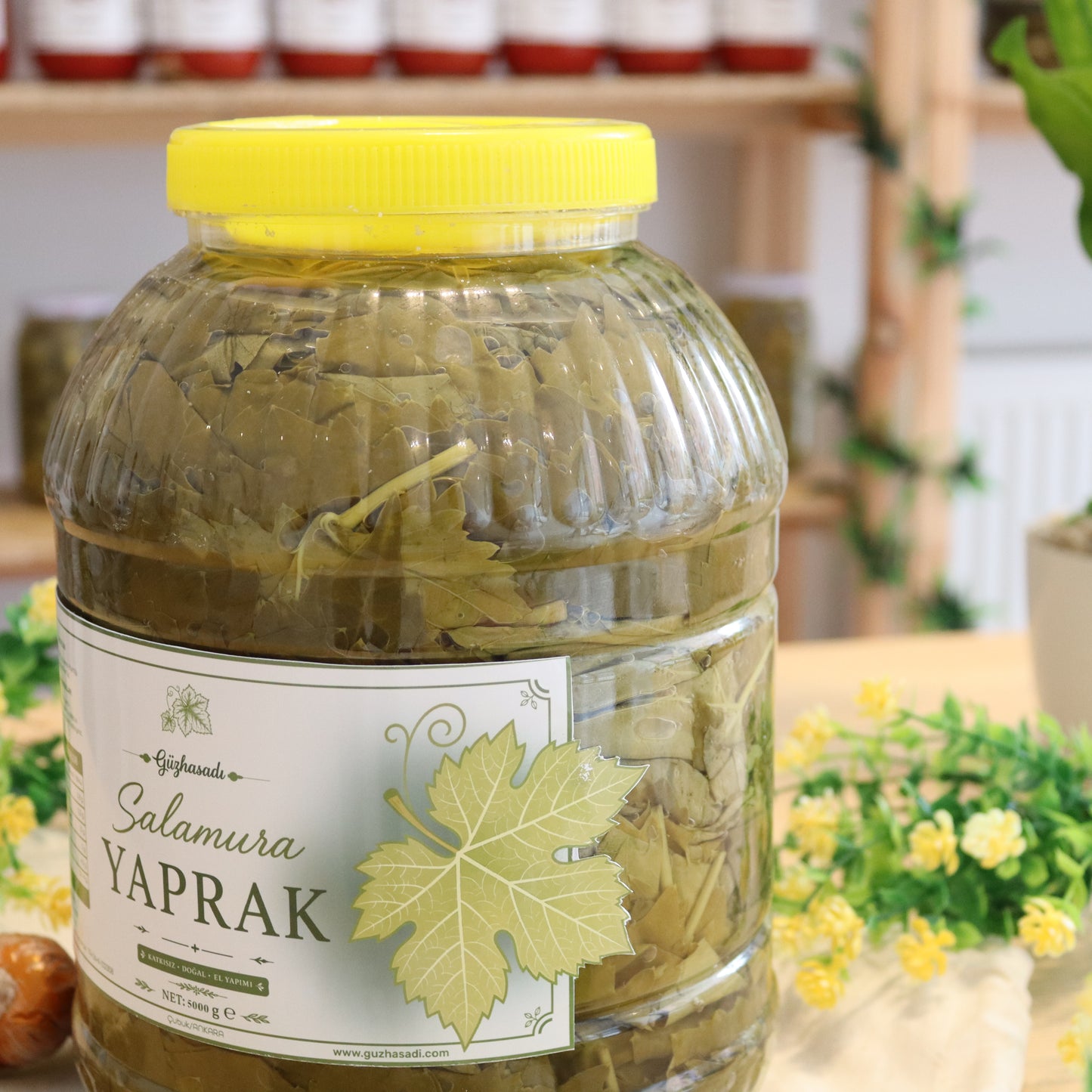 Salamura Asma Yaprağı 5 Kg
